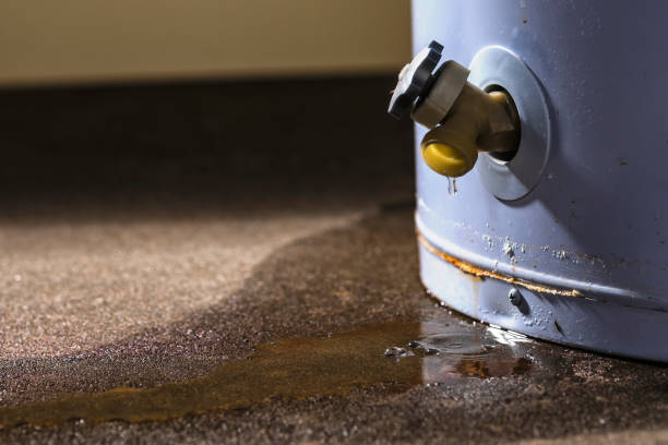 Best Water damage cleanup near me  in Millville, UT