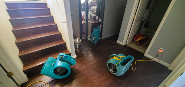 Best Water damage restoration insurance claims  in Millville, UT