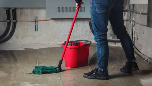 Water damage restoration insurance claims in Millville, UT