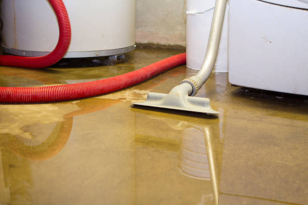 Best Water damage restoration mold remediation  in Millville, UT