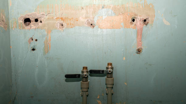 Reliable Millville, UT Water damage restoration Solutions