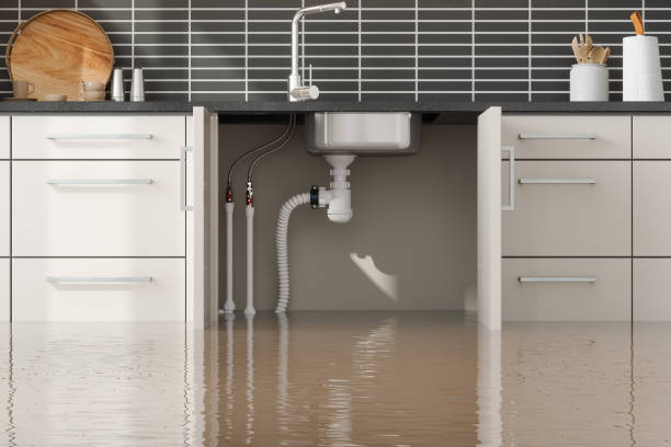 Best Flood restoration services  in Millville, UT