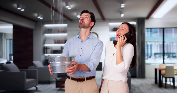 Best Water damage contractors near me  in Millville, UT